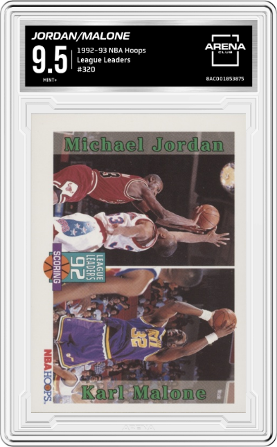 Michael Jordan/Karl Malone