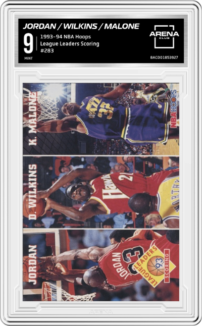 Michael Jordan/Dominique Wilkins/Karl Malone