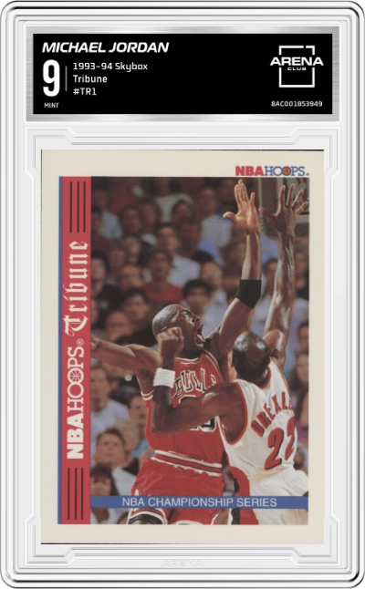 Michael Jordan/Clyde Drexler