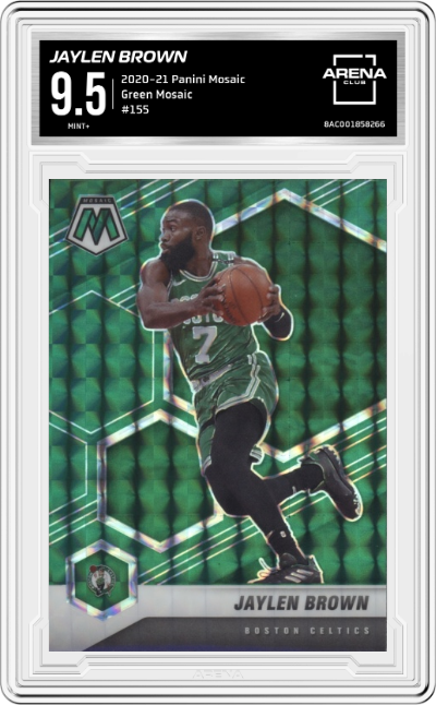 Jaylen Brown