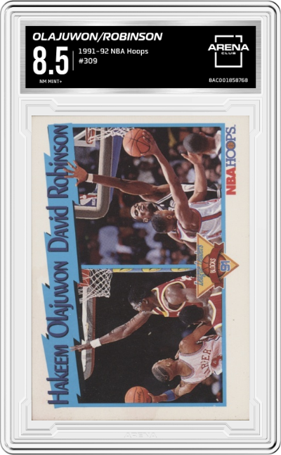 Hakeem Olajuwon / David Robinson