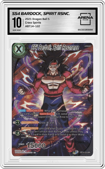 SS4 Bardock, Spirit RSNC.