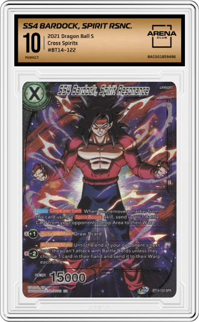 SS4 Bardock, Spirit RSNC.