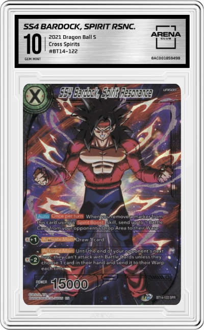 SS4 Bardock, Spirit RSNC.