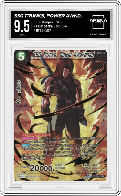 SSG Trunks, Pwr.Awkd.