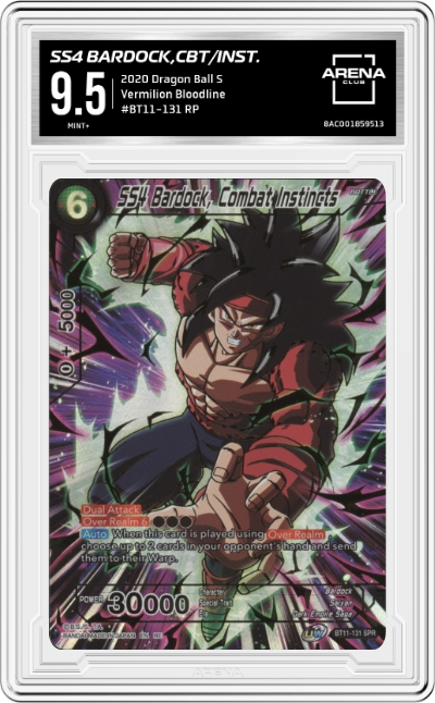 SS4 Bardock,CBT/INST.