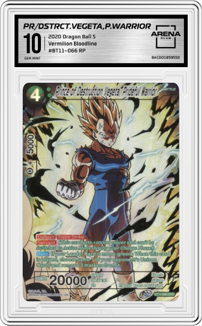 Prince of Destruction Vegeta, Prideful Warrior