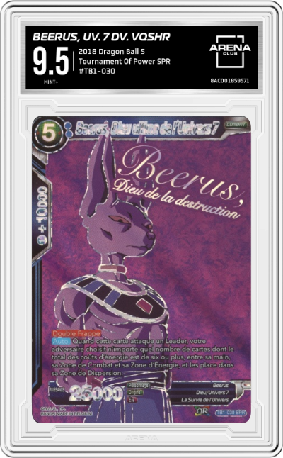Beerus, UV. 7 DV. VQSHR