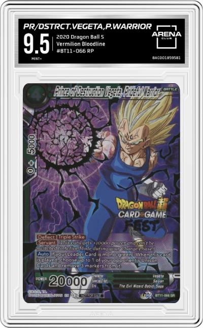 Prince of Destruction Vegeta, Prideful Warrior