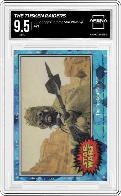The Tusken Raiders