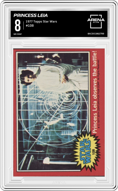 Princess Leia Observes the Battle