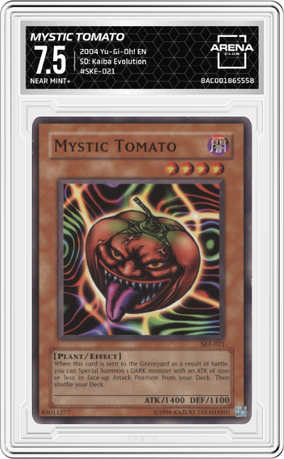 Mystic Tomato