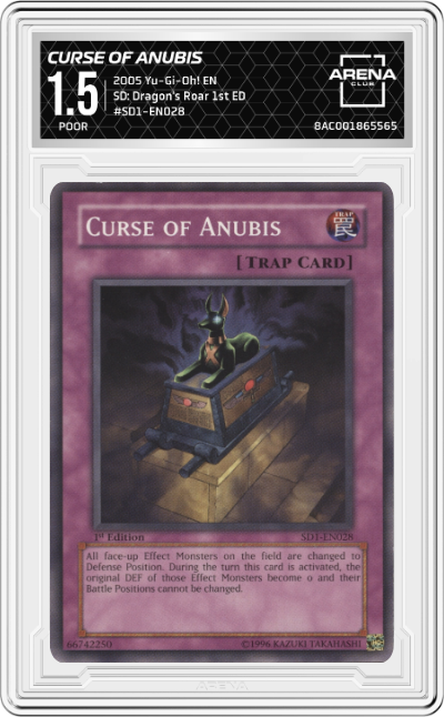 Curse of Anubis