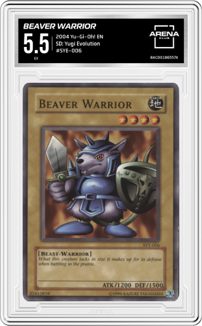 Beaver Warrior