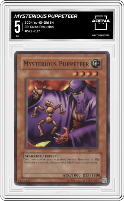 Mysterious Puppeteer
