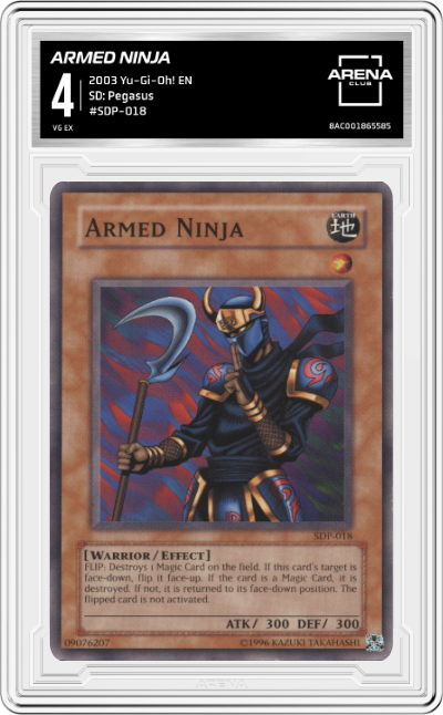 Armed Ninja