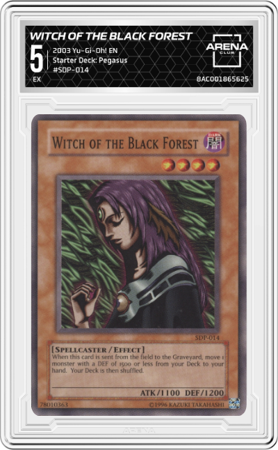 Witch Of The Black Forest