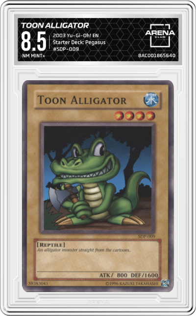 Toon Alligator
