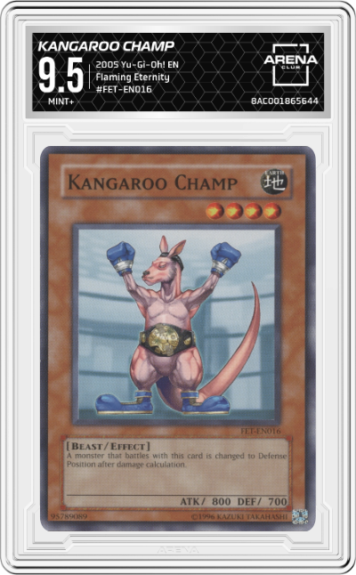 Kangaroo Champ