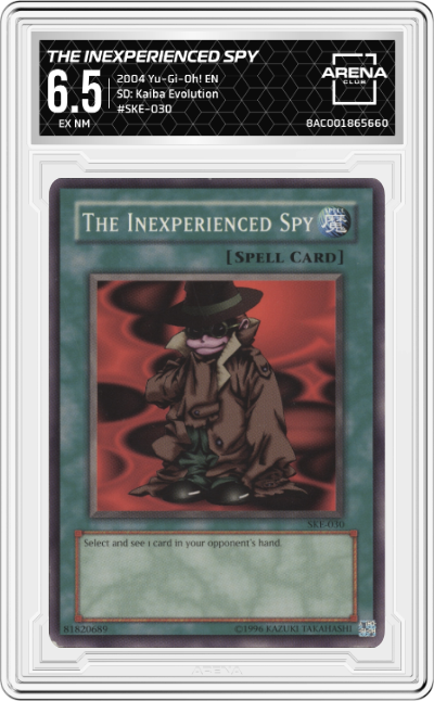 The Inexperienced Spy