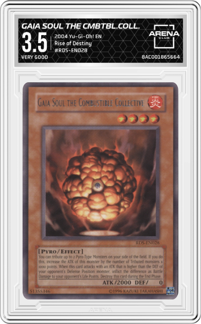 Gaia Soul The Combustible Collective