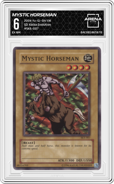 Mystic Horseman