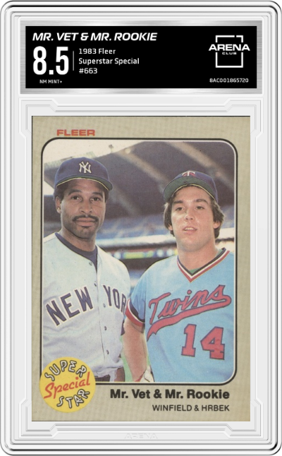 Dave Winfield/ Kent Hrbek