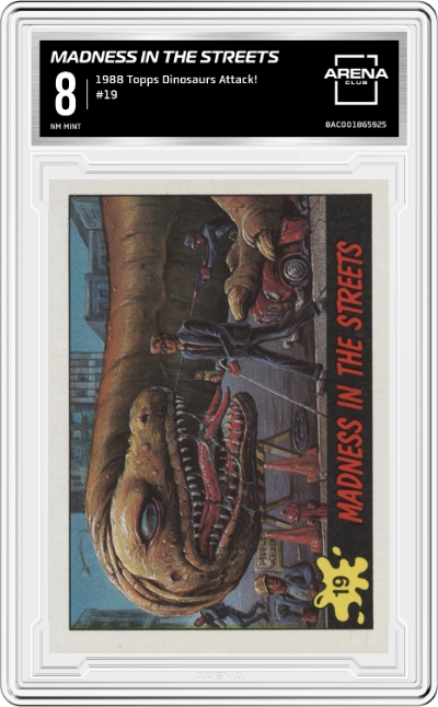 Madness In the Streets