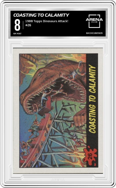 Coasting To Calamity