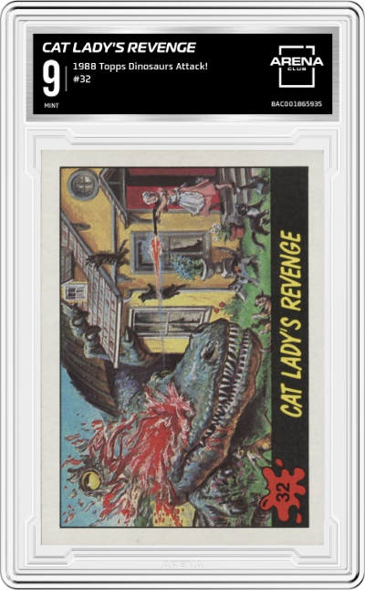 Cat Lady's Revenge