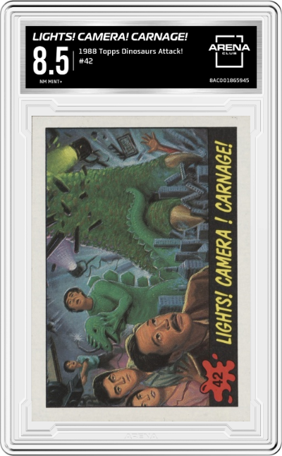 Lights! Camera! Carnage!