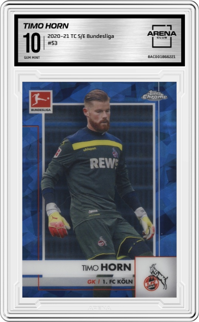 Timo Horn