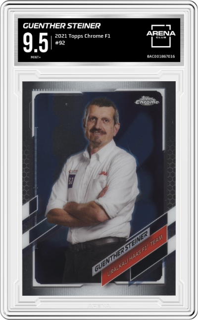 Guenther Steiner