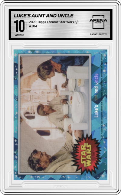 Luke's Aunt and Uncle