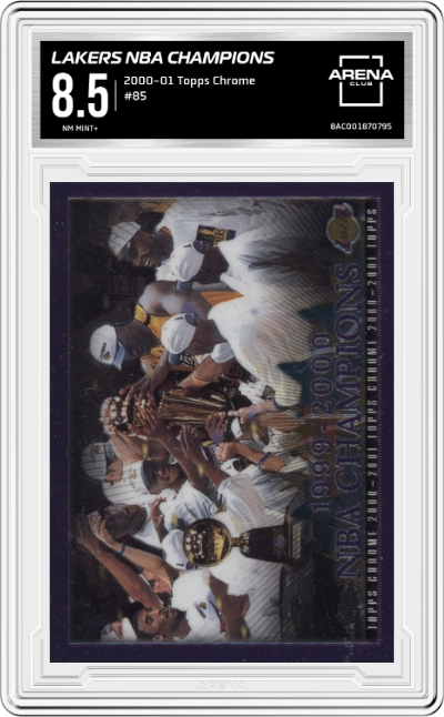 Lakers NBA Champions