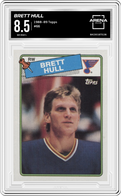 Brett Hull
