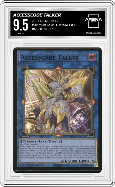 Accesscode Talker