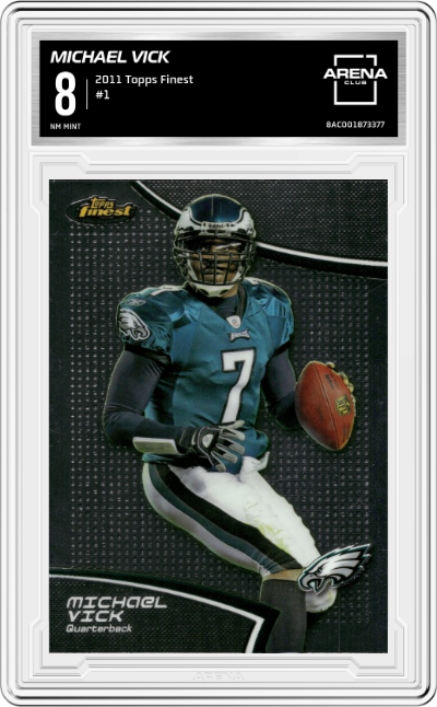Michael Vick
