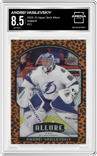 Andrei Vasilevskiy