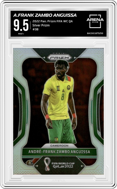 Andre-Frank Zambo Anguissa