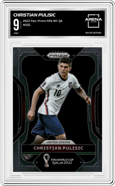 Christian Pulisic
