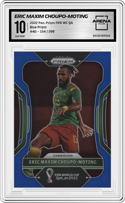 Eric Maxim Choupo-Moting