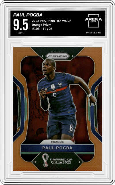 Paul Pogba