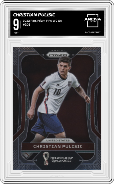 Christian Pulisic