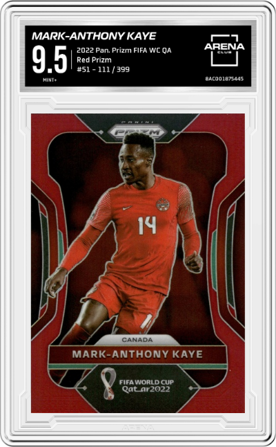 Mark-Anthony Kaye