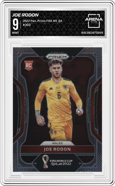 Joe Rodon