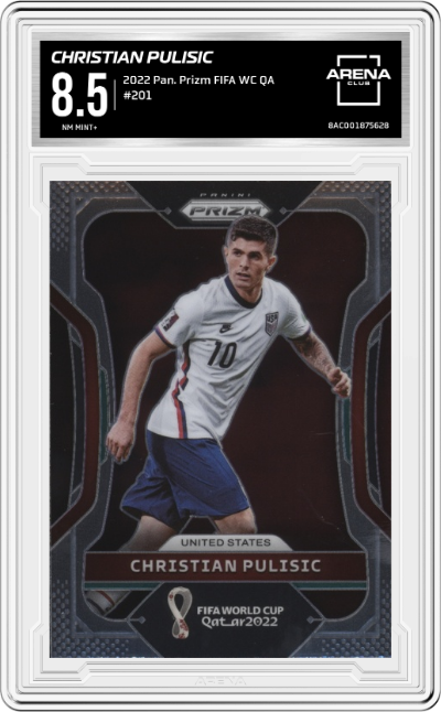 Christian Pulisic