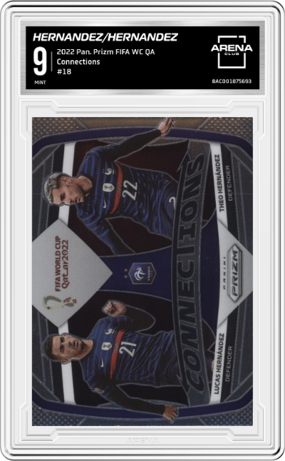 Lucas Hernandez/Theo Hernandez