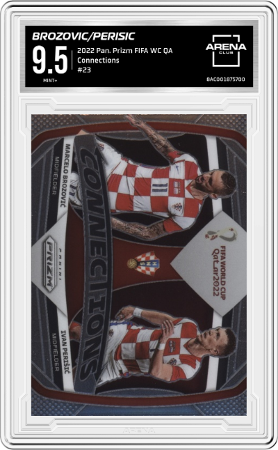 Marcelo Brozovic/Ivan Persivic