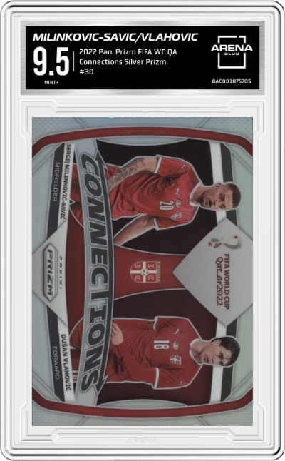 Sergej Milinkovic-Savic/Dusan Vlahovic